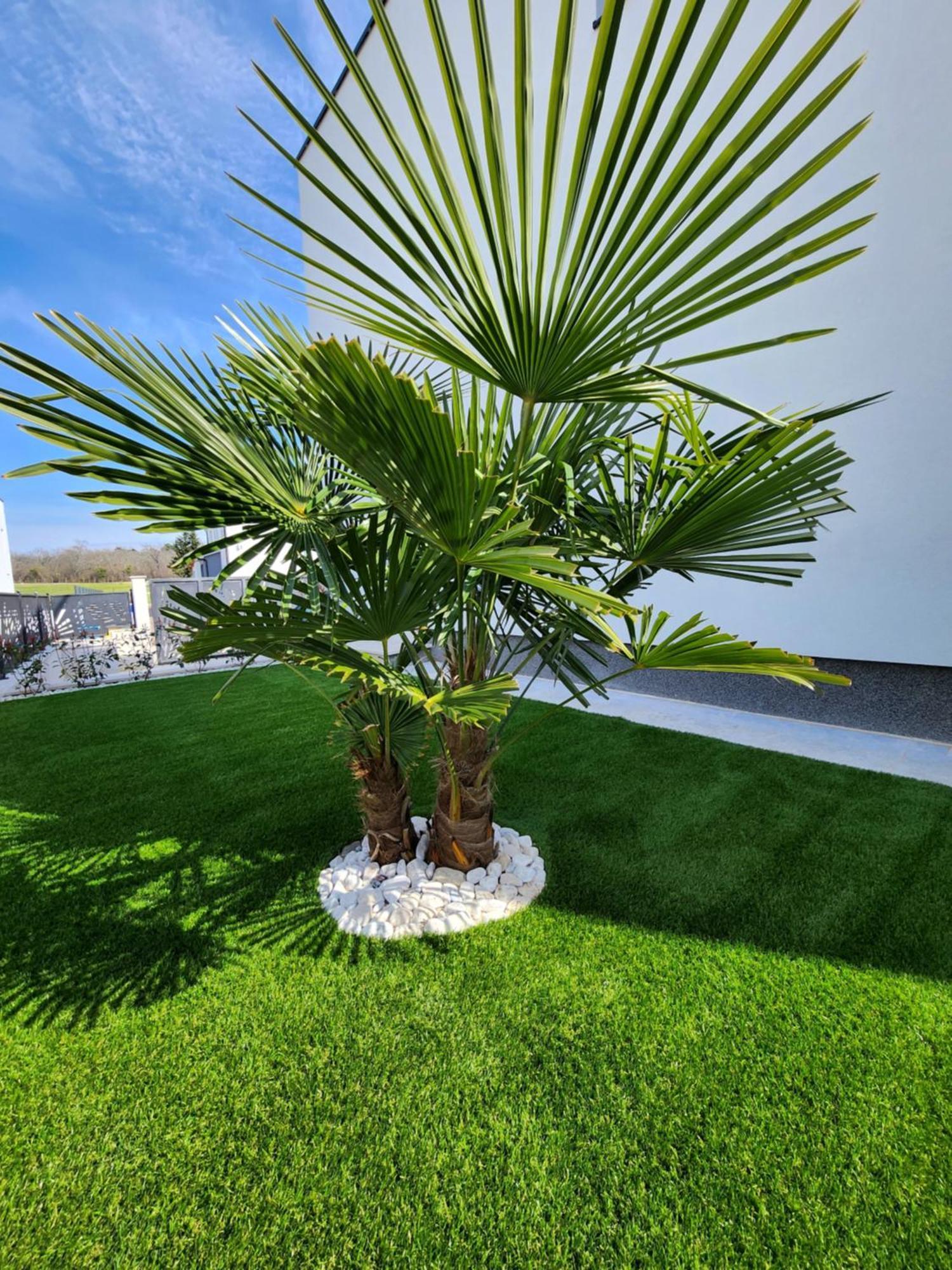 Villa Keti Porec Esterno foto